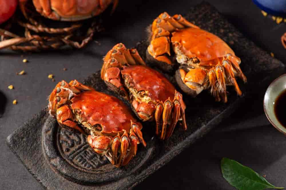 Bengal and Shanghai Restaurant in Supela,Raipurchhattisgarh Order