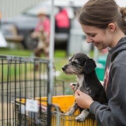 Stray Dog Welfare Organisations in Bhopal - Dog Catchers - Justdial