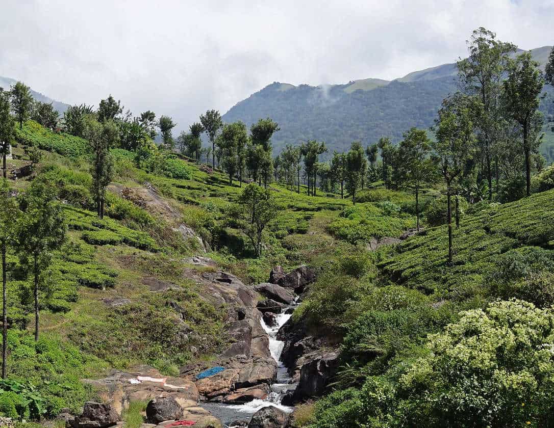 Top Tour Packages For Velankanni in Aluva, Ernakulam near me Justdial