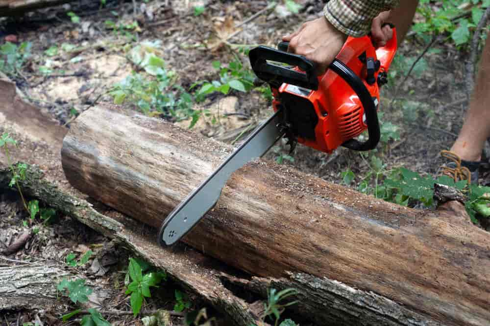 Tree cutter online