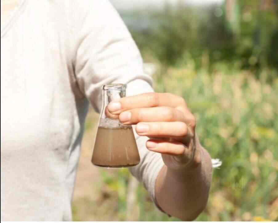 Qa Testing Laboratory Pvt Ltd in Rajpur Road,Dehradun Best Laboratory