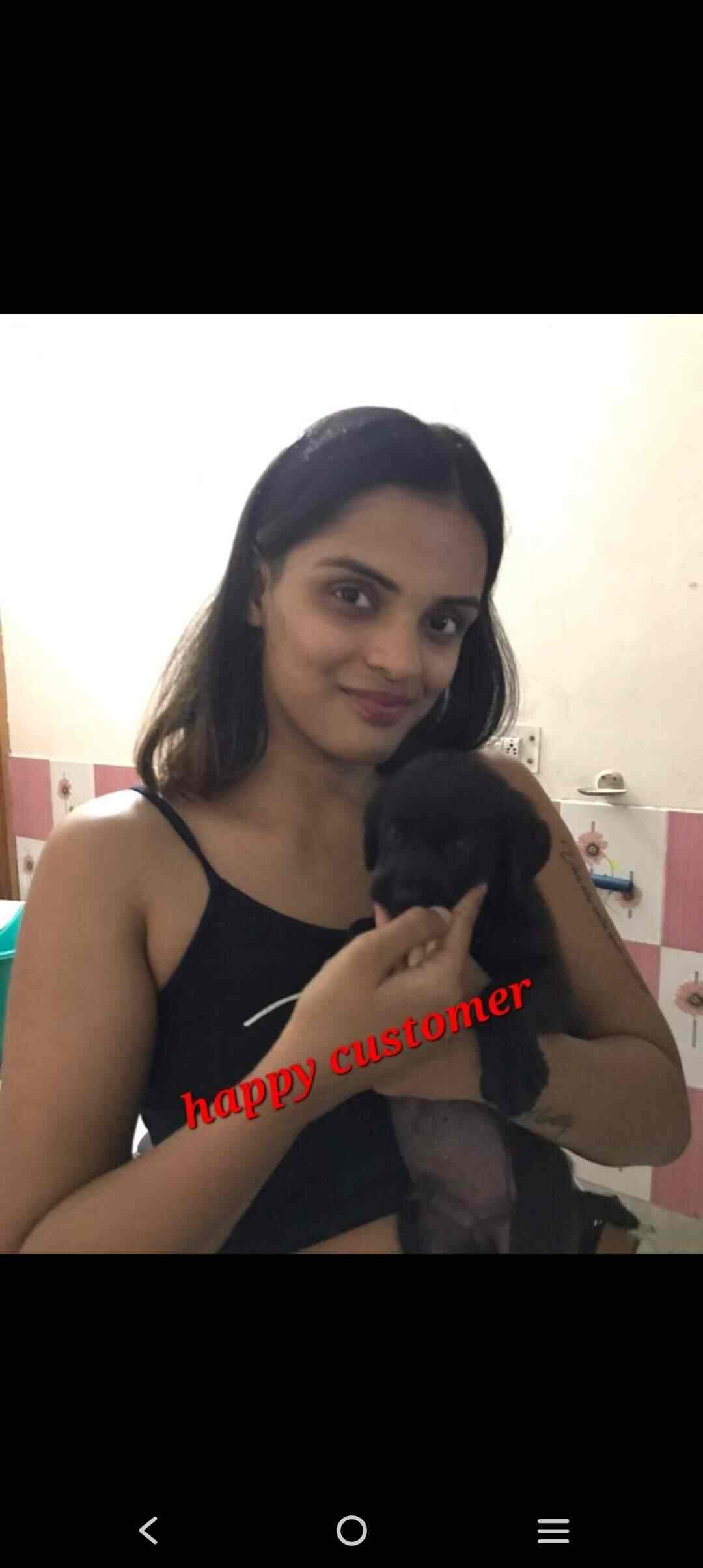 Top Pet Shops in Dehradun Best Pet Store near me Justdial