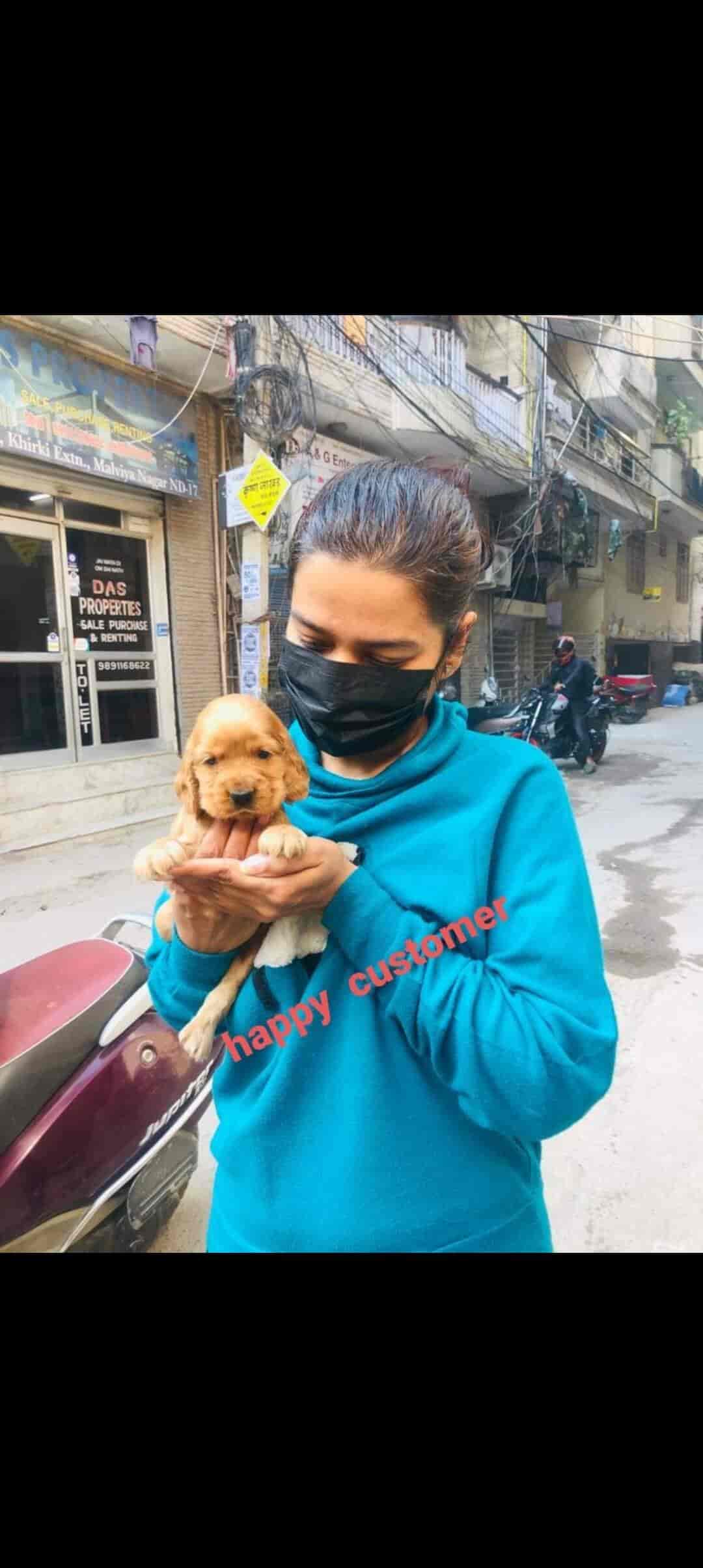 Top Pet Shops in Dehradun Best Pet Store near me Justdial