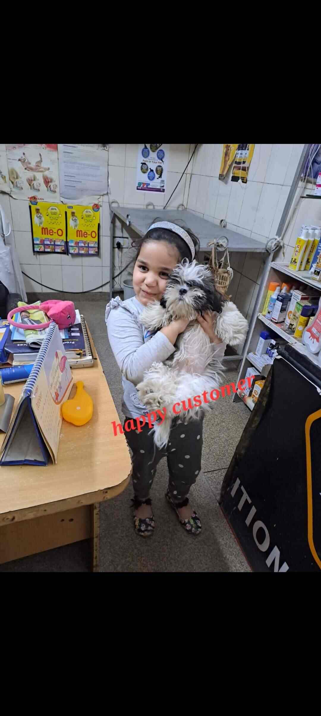 Top Pet Shops in Dehradun Best Pet Store near me Justdial