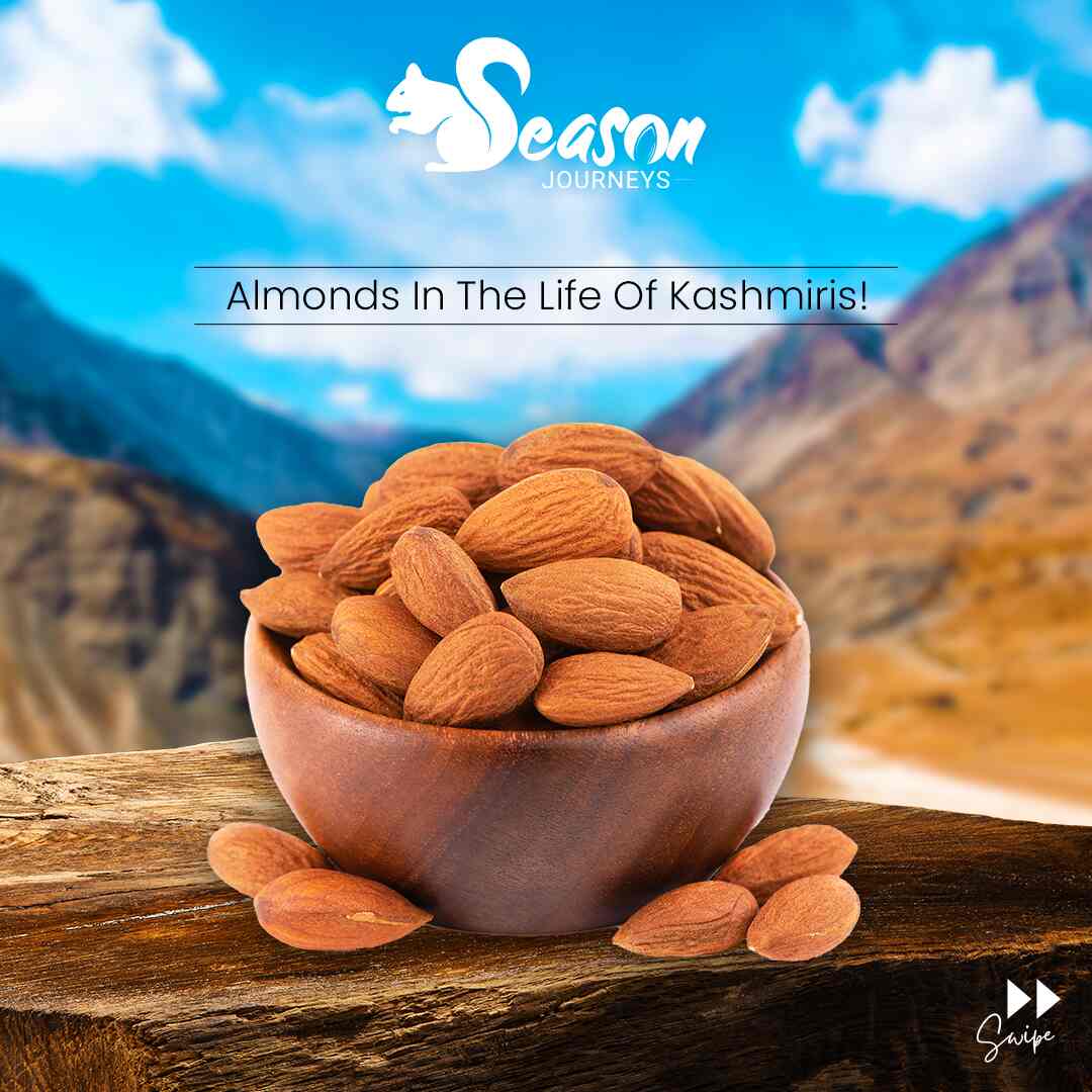 Season Journeys Authentic Kashmiri Dry Fruits in Sahastradhara Road