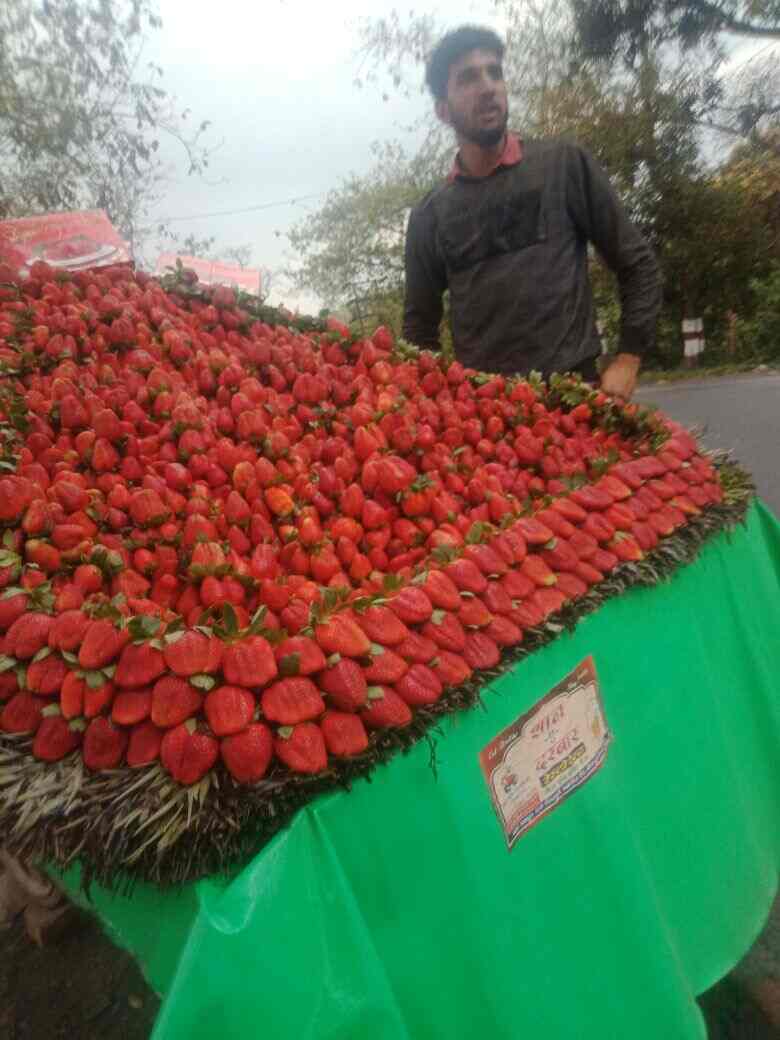 Top Fruit Juice Retailers in Selaqui Best Fruit Juice Dealers