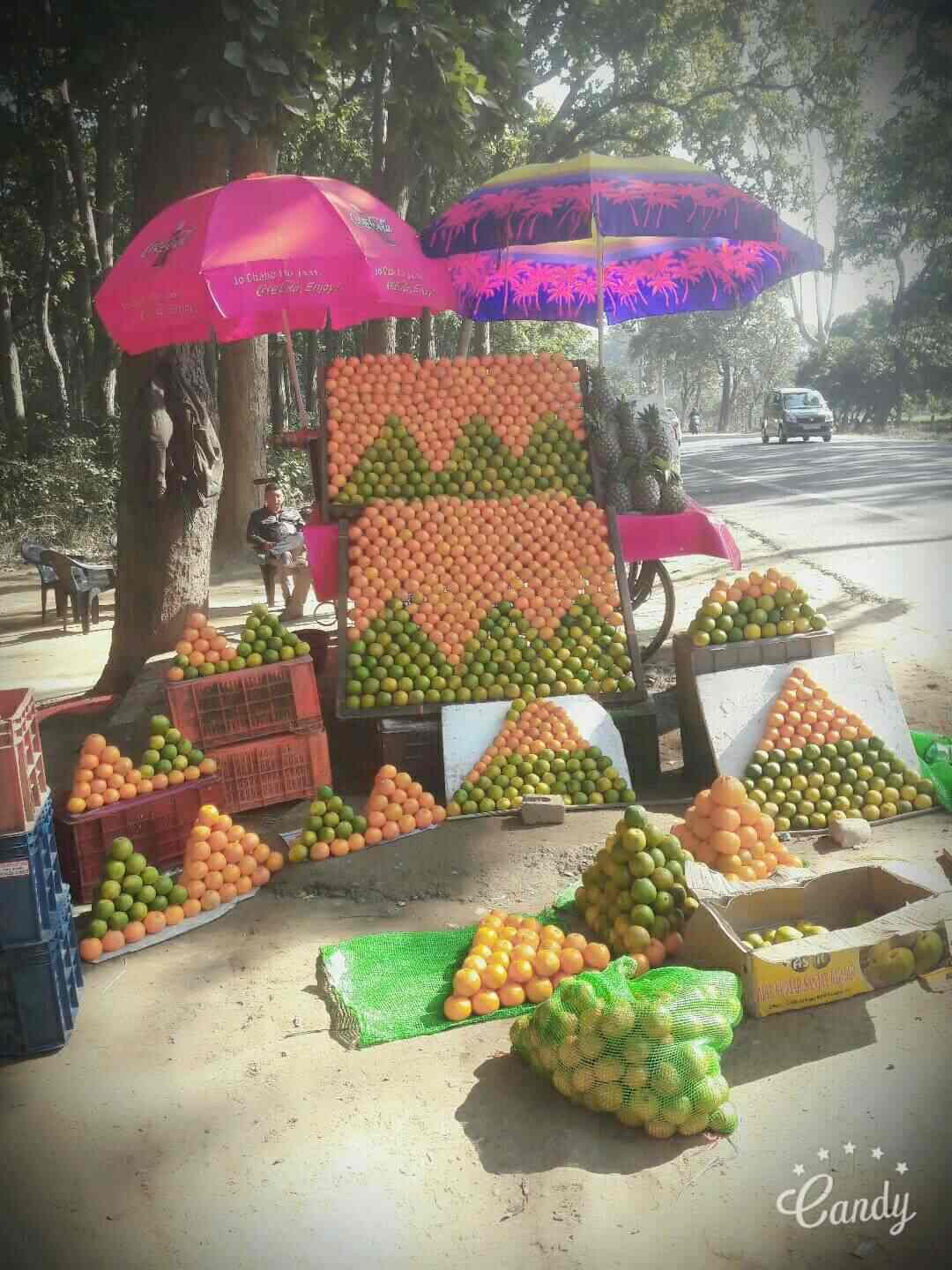 Top Fruit Juice Retailers in Selaqui Best Fruit Juice Dealers