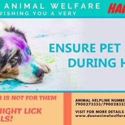 Doon Animal Welfare in Subhash Road Dehradun - Best Veterinary Clinics in Dehradun - Justdial Doon Animal Welfare in Subhash Road Dehradun - Best Veterinary Clinics in Dehradun - Justdial
