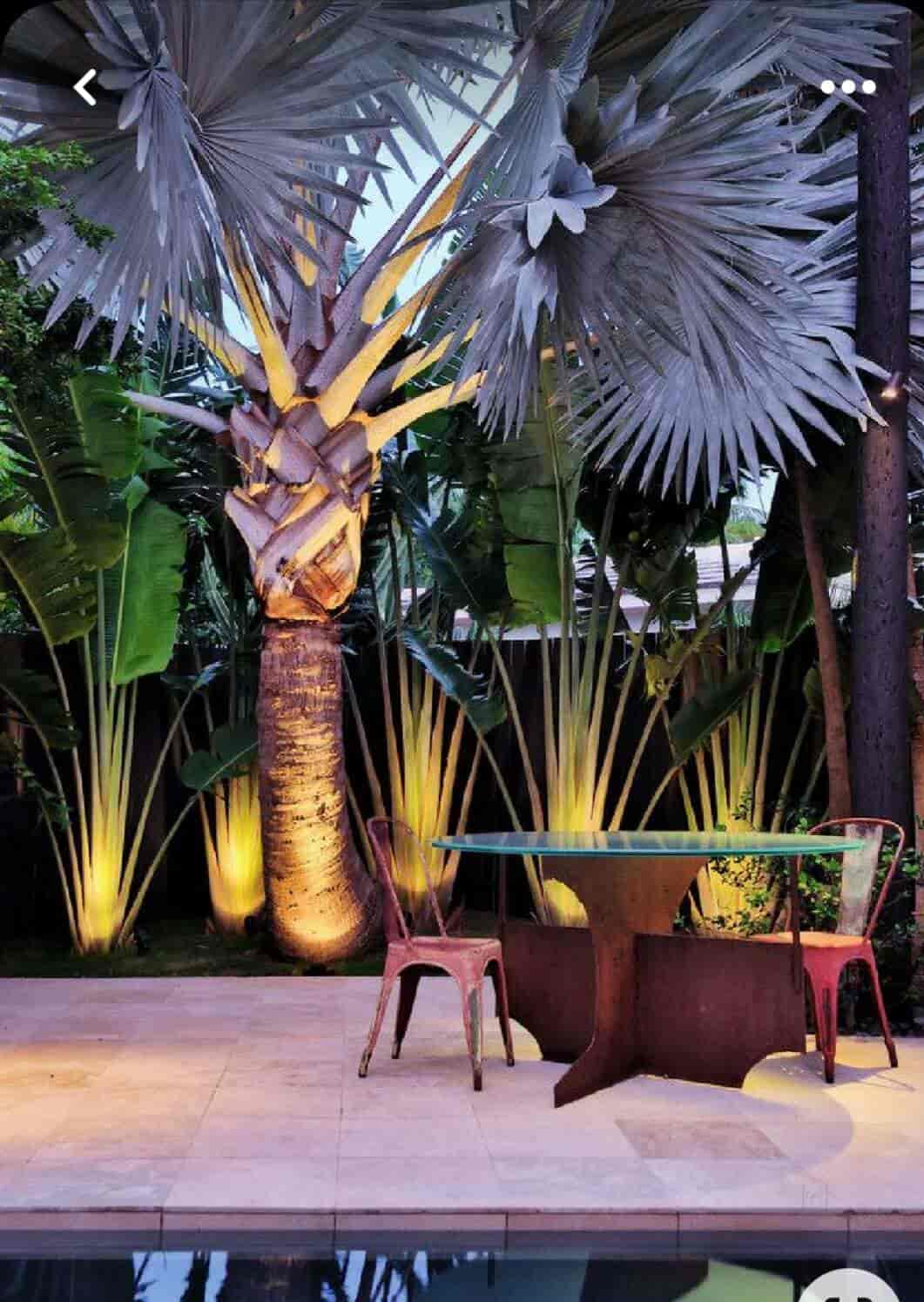 Top Green Tree Nursery Plant Nurseries in Delhi Best Green Tree