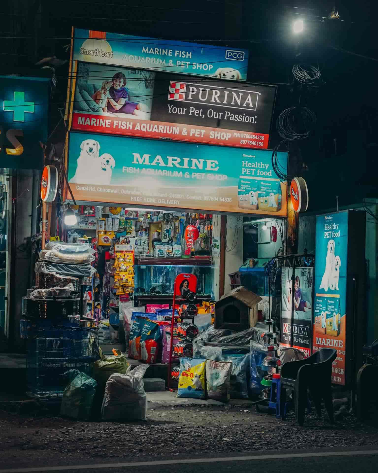 Top Pet Shops in Dehradun Best Pet Store near me Justdial