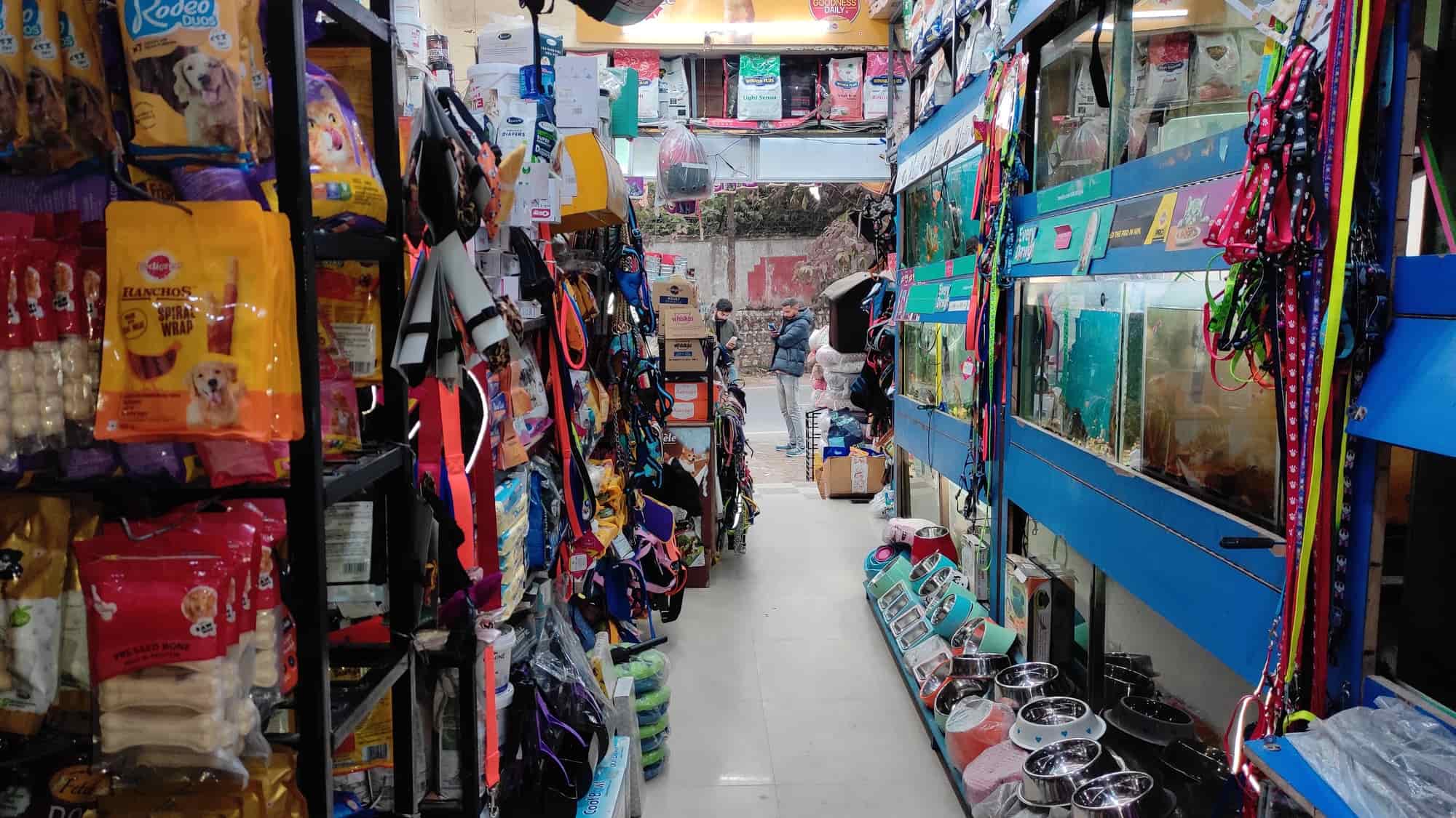 Top Pet Shops in Dehradun Best Pet Store near me Justdial