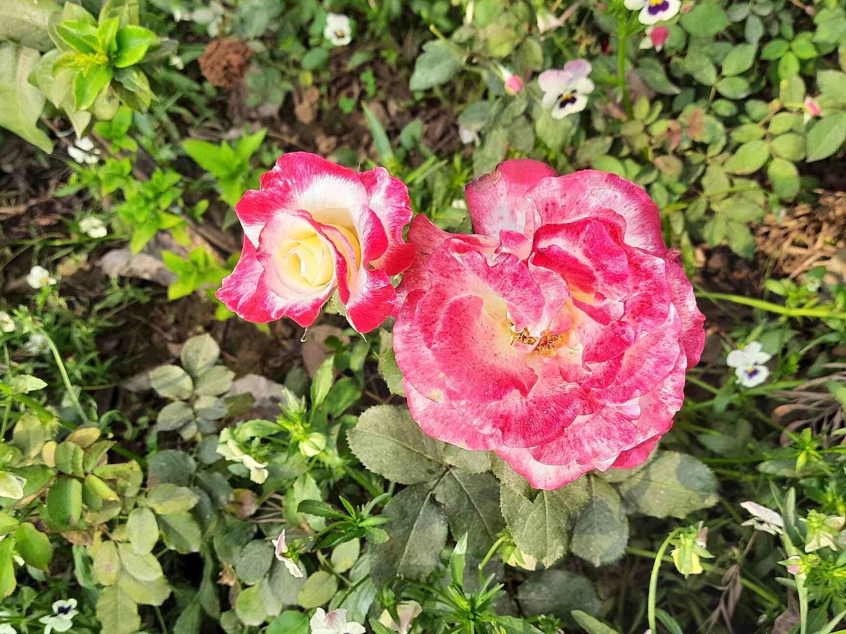 Dda Sports Complex in Saket,Delhi Best Badminton Courts in Delhi