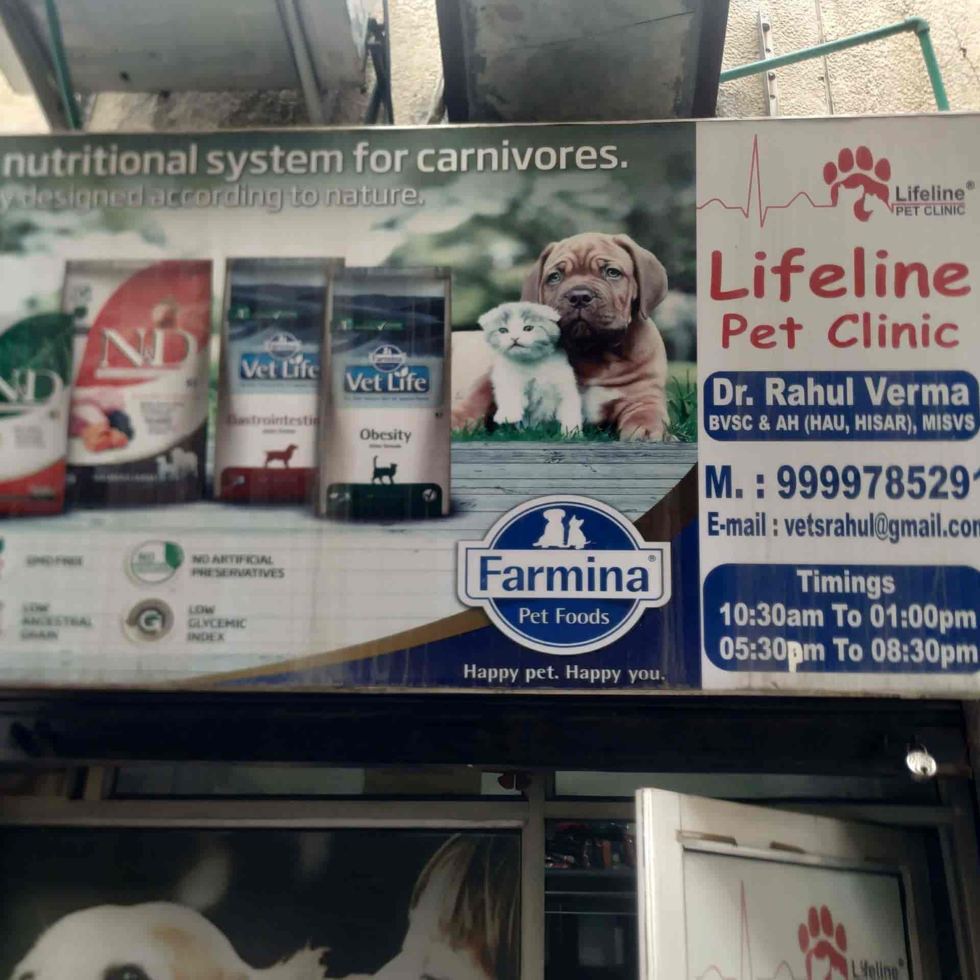 Dr. Rahul's Lifeline Pet Clinic in Dwarka Sector 11 - Book Appointment  Online - Best Veterinary Clinics in Delhi - Justdial
