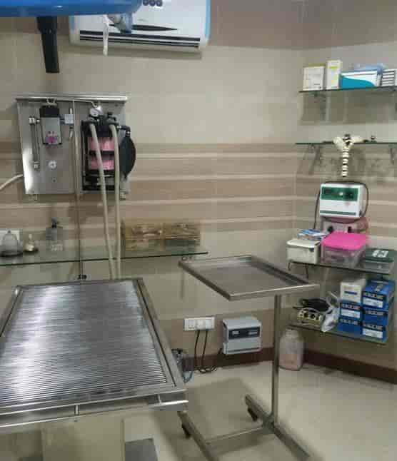 Dr. Anands Pets Clinic Pet Clinics Book Appointment Online Pet