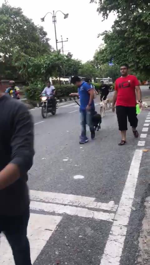 Sanjay Gandhi Animal Care Centre in Raja Garden,Delhi - Book Appointment Online - Best Kennel Service in Delhi - Justdial Sanjay Gandhi Animal Care Centre in Raja Garden,Delhi - Book Appointment Online - Best Kennel Service in Delhi - Justdial