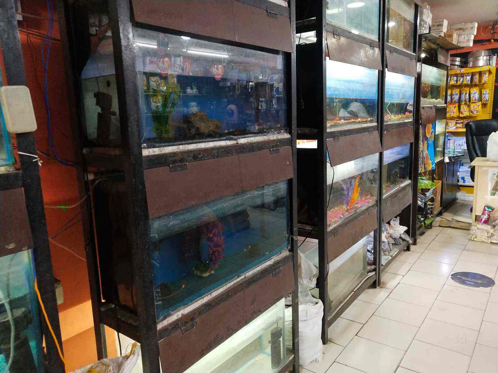 Petstreet Stays in Noida Sector 27,Delhi Best Pet Shops in Delhi