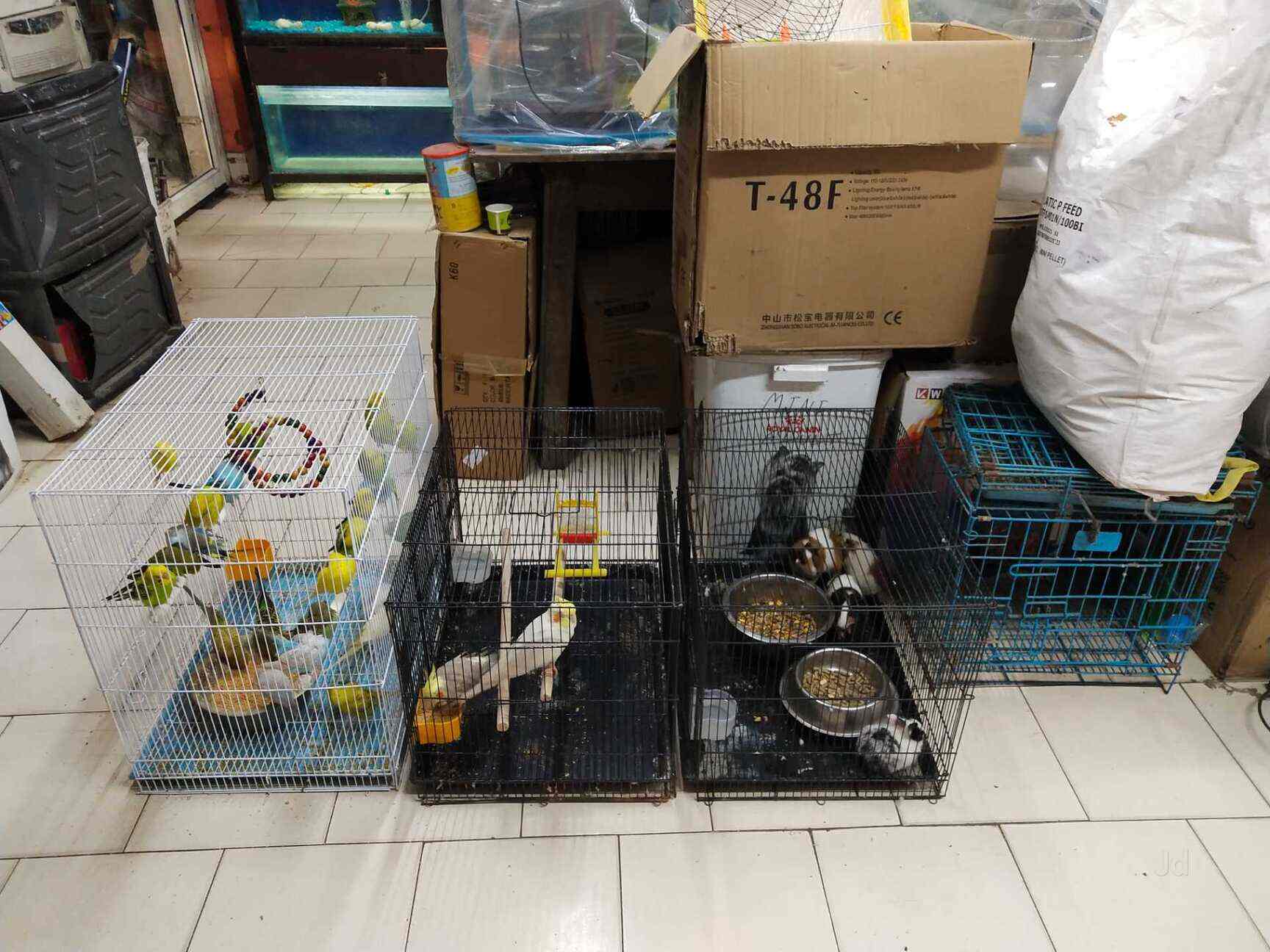 Petstreet Stays in Noida Sector 27,Delhi Best Pet Shops in Delhi