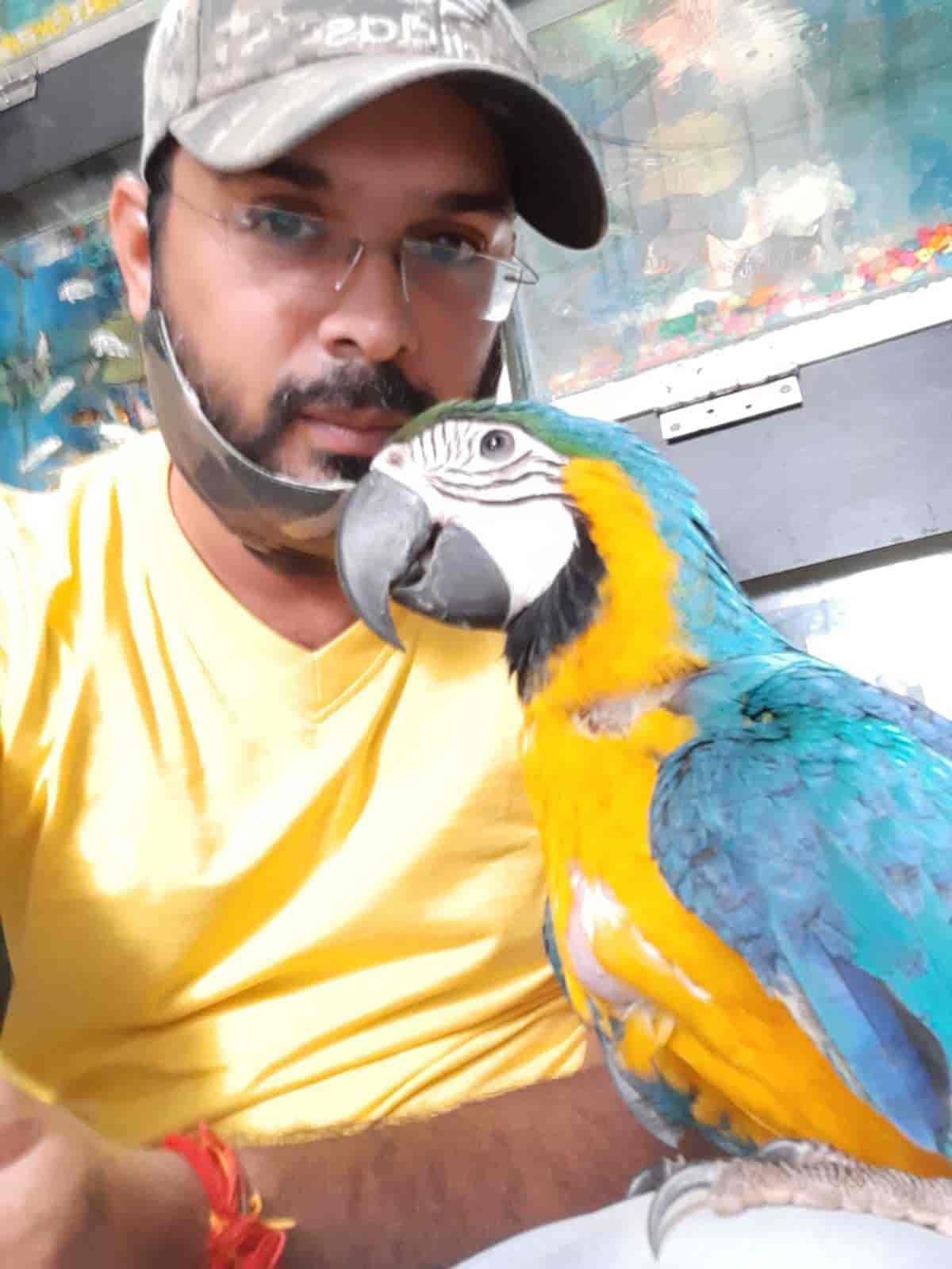 Top Pet Shops For Exotic Birds in Aya Nagar Best Pet Stores For