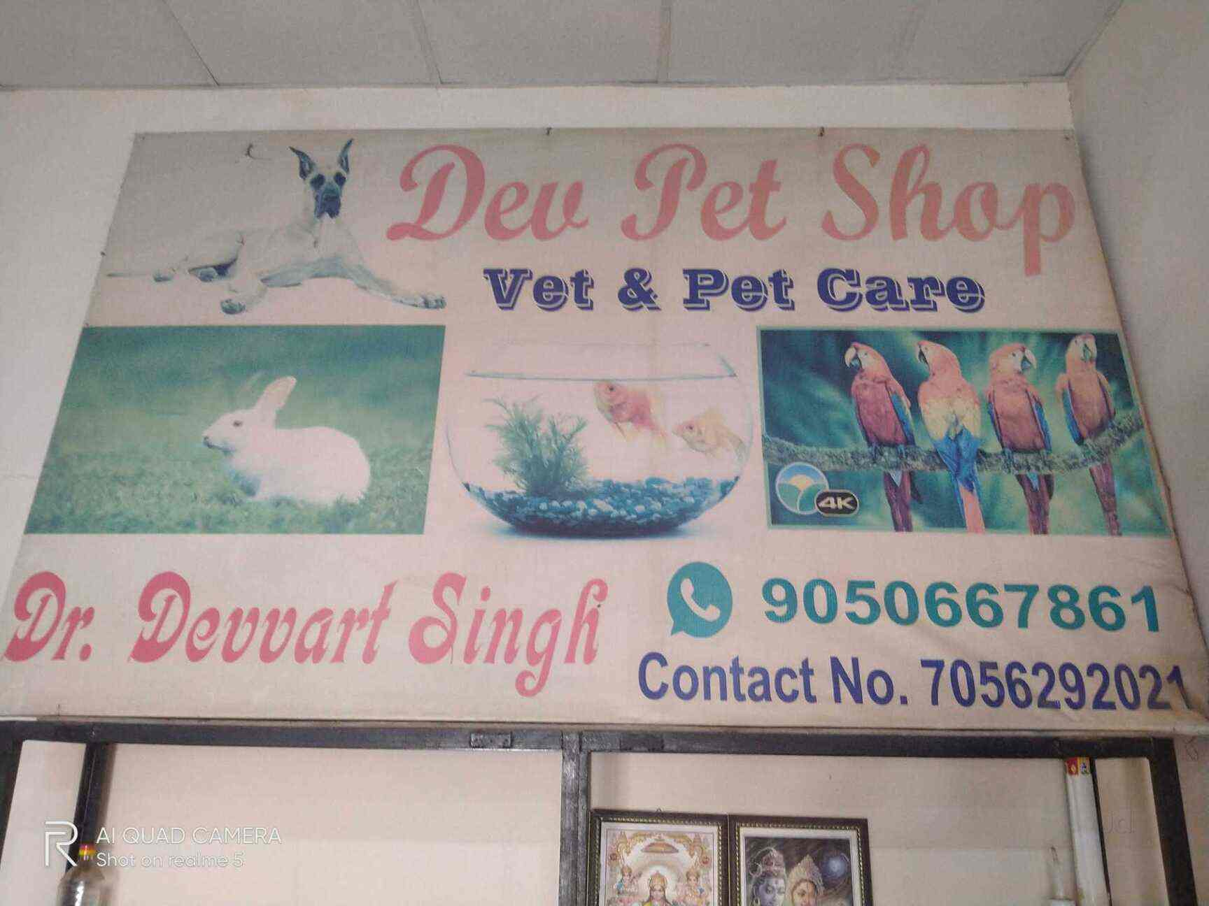 Top Pet Shops For Conure Parrot in Gurgaon Best Pet Stores For Conure Parrot Delhi near me