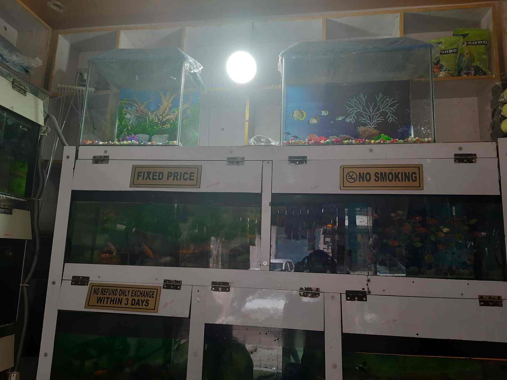 Gupta Fish Aquarium Shop in New Ashok Nagar,Delhi Best Dog Food Retailers in Delhi Justdial