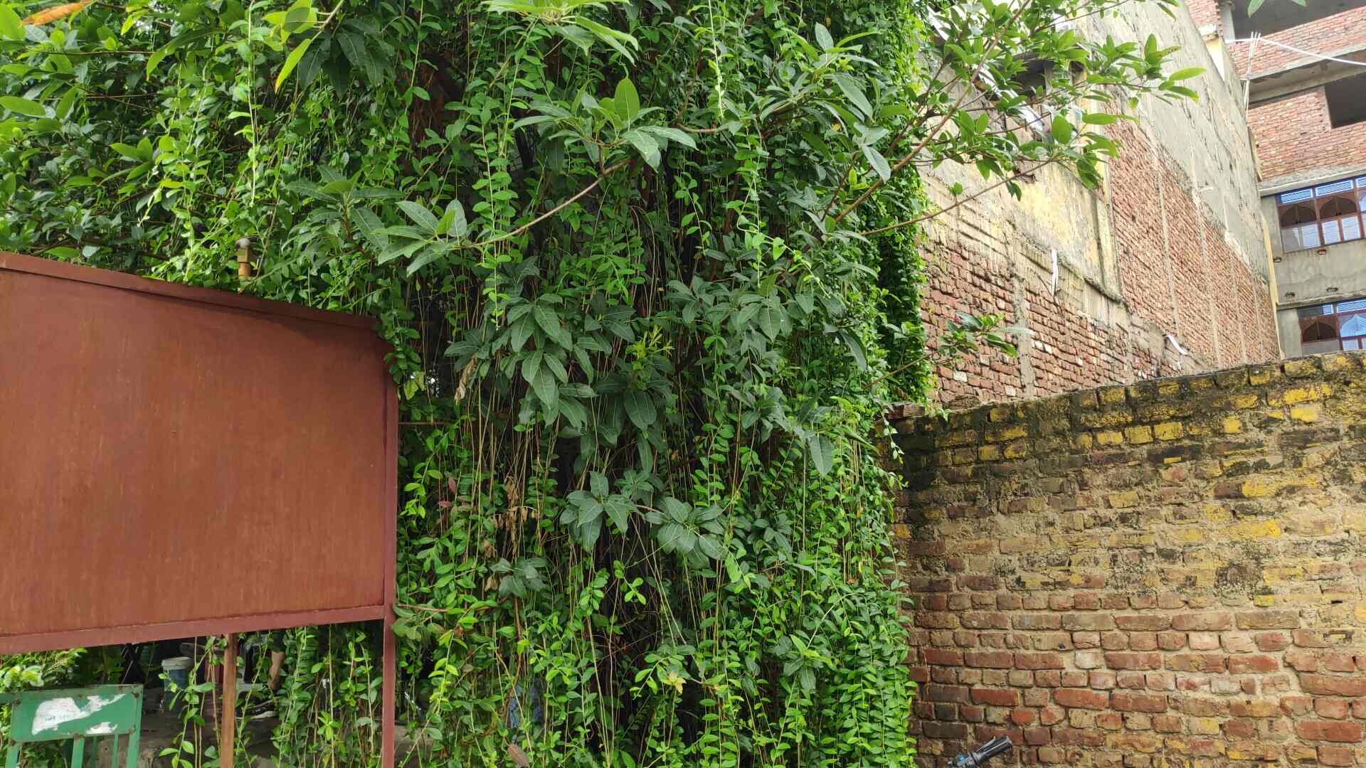 Top Tata Car Part Dealers in Kashmere Gate Best Tata Car Part Dealers