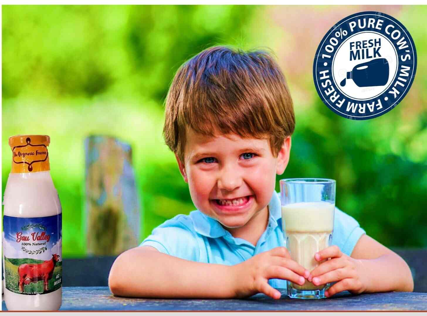 Top Milk Dairy near Iskcon TempleEast Of Kailash Best Doodh Wala