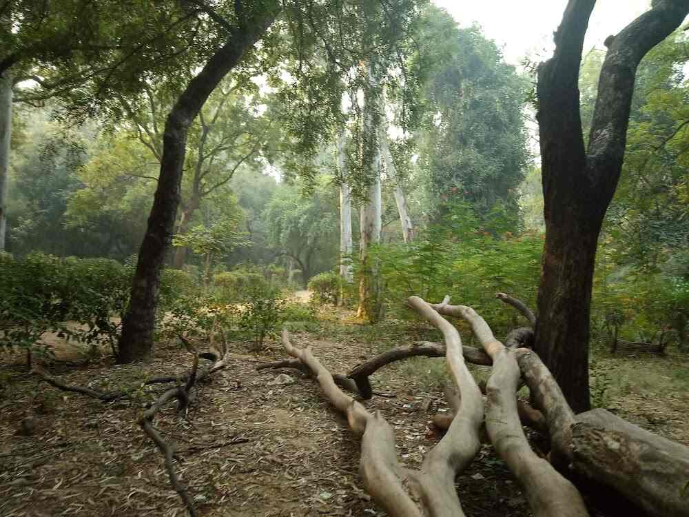 Rose Garden in Hauz Khas,Delhi Best Parks in Delhi Justdial