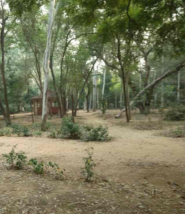 Rose Garden in Hauz Khas,Delhi Best Parks in Delhi Justdial