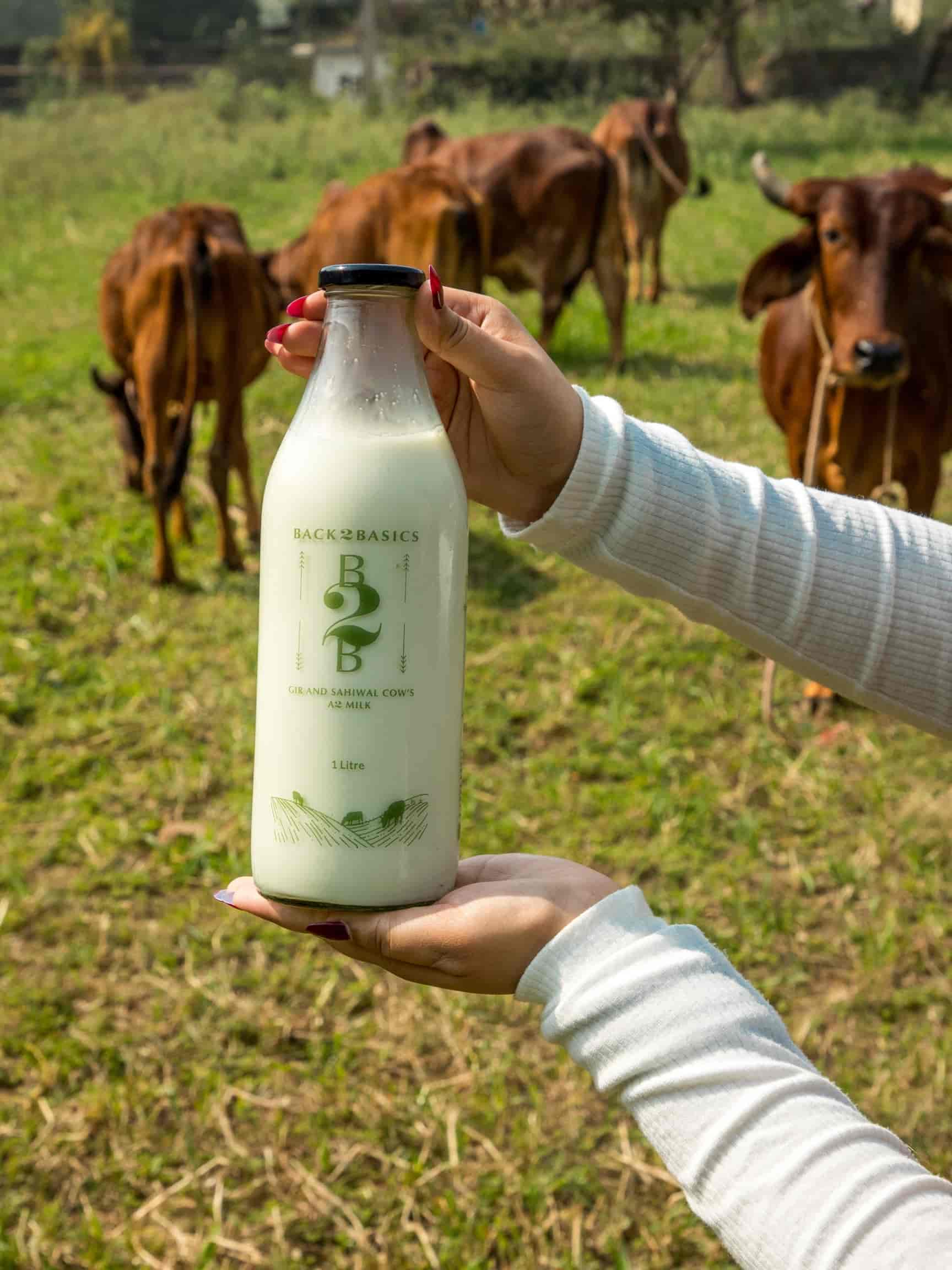 Top A2 Milk Retailers in Mayur Vihar Phase 1 Extension Best A2 Milk