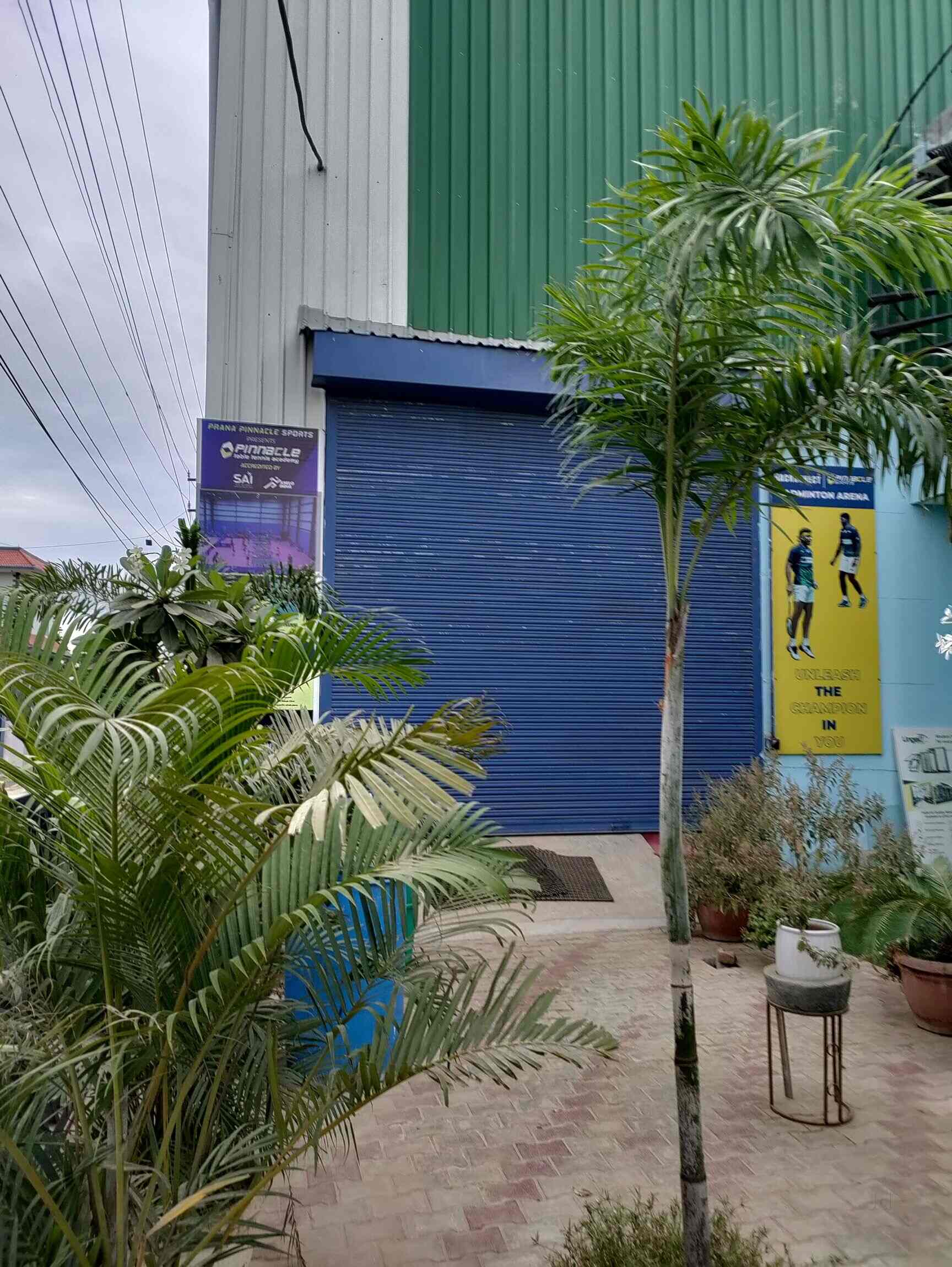 Top Table Tennis Classes in Chittaranjan Park Best Table Tennis