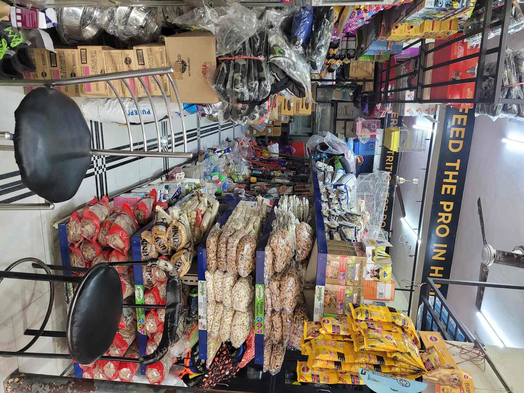 Ananya Pet Shop in Faridabad Sector 7,Delhi Best Aquarium Accessory