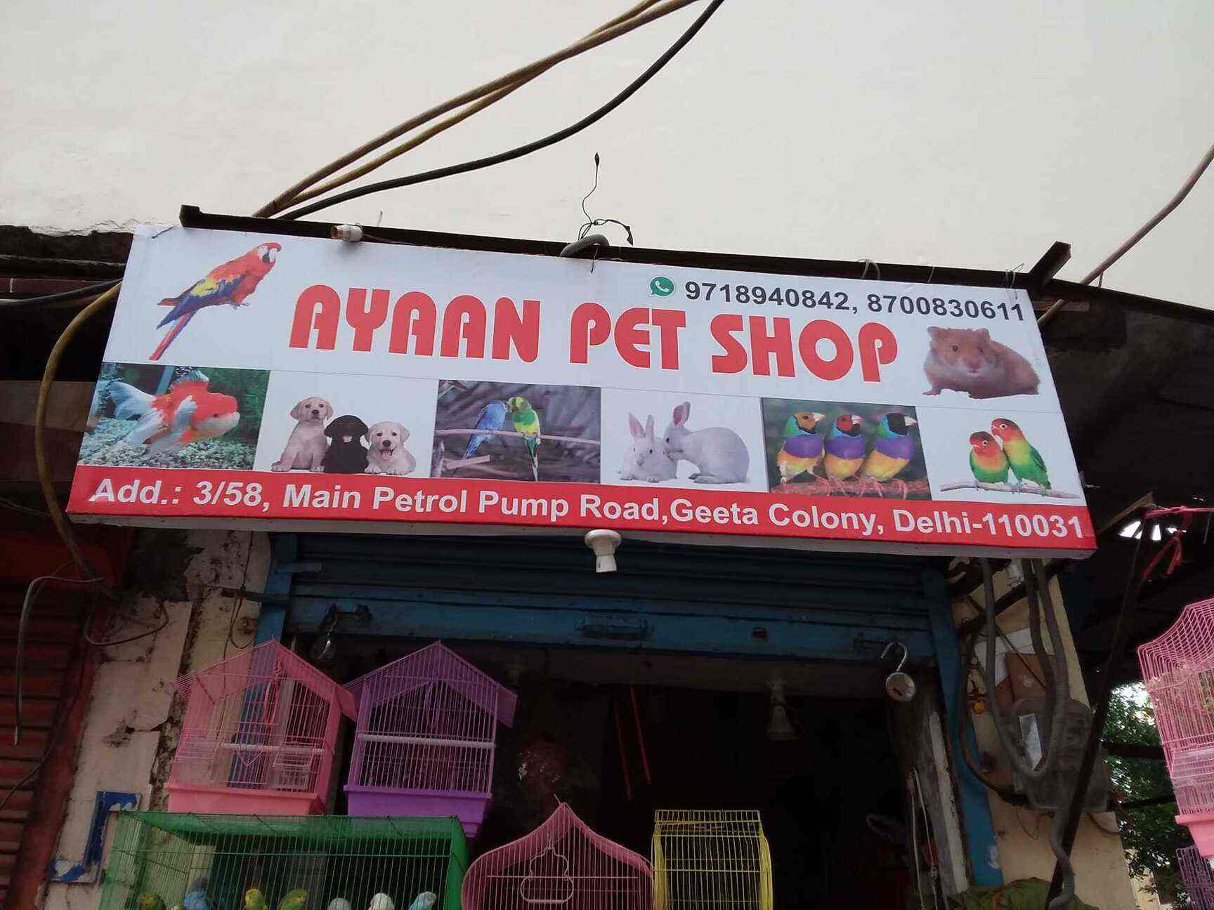 Top Aquariums in Geeta Colony Best Fish Tank Dealers near me Justdial