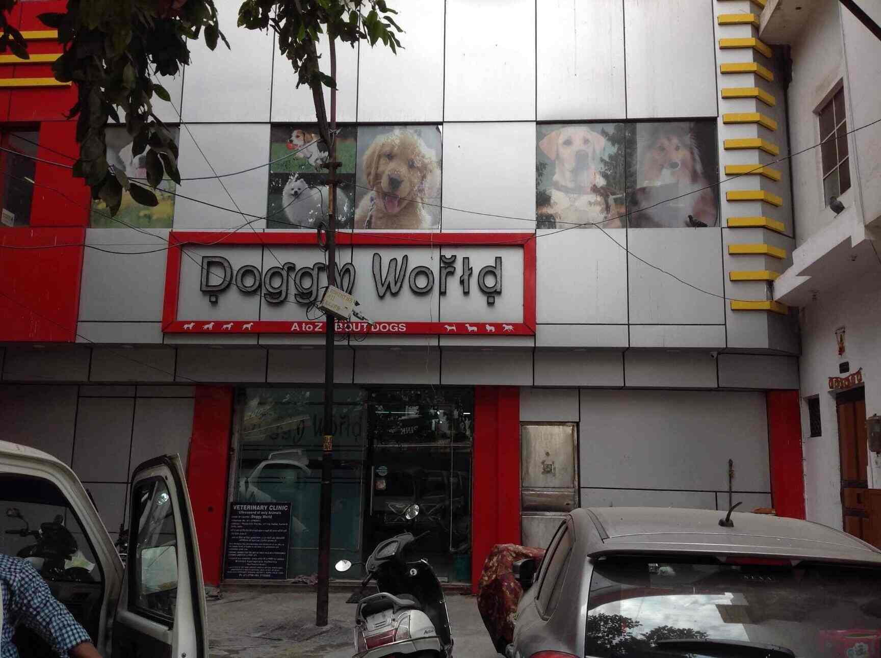 Dog hospital in hot sale rohini