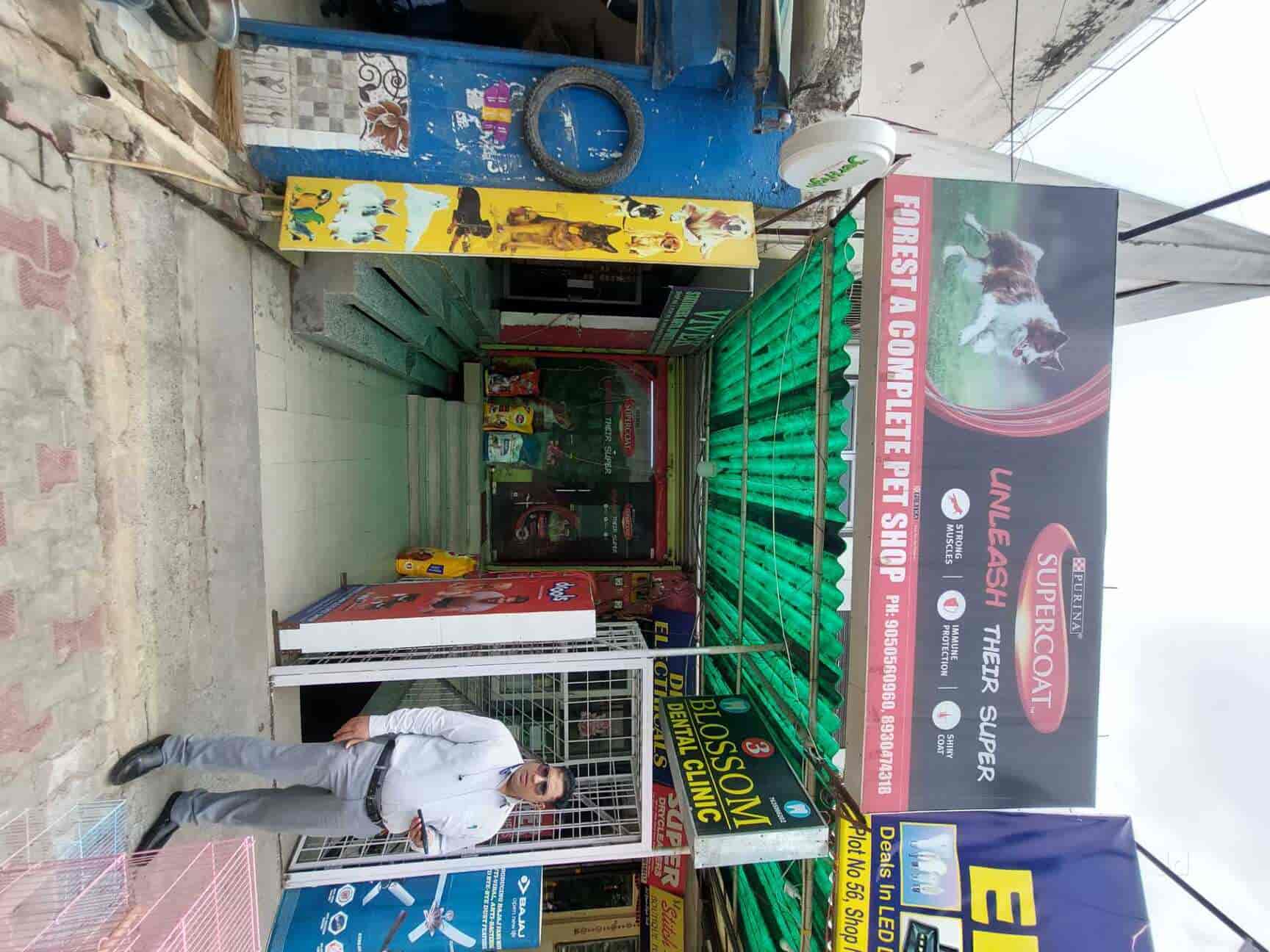 Forest A Complete Pet Shop in Gurgaon Sector 15 Part 1,Delhi Best Pet