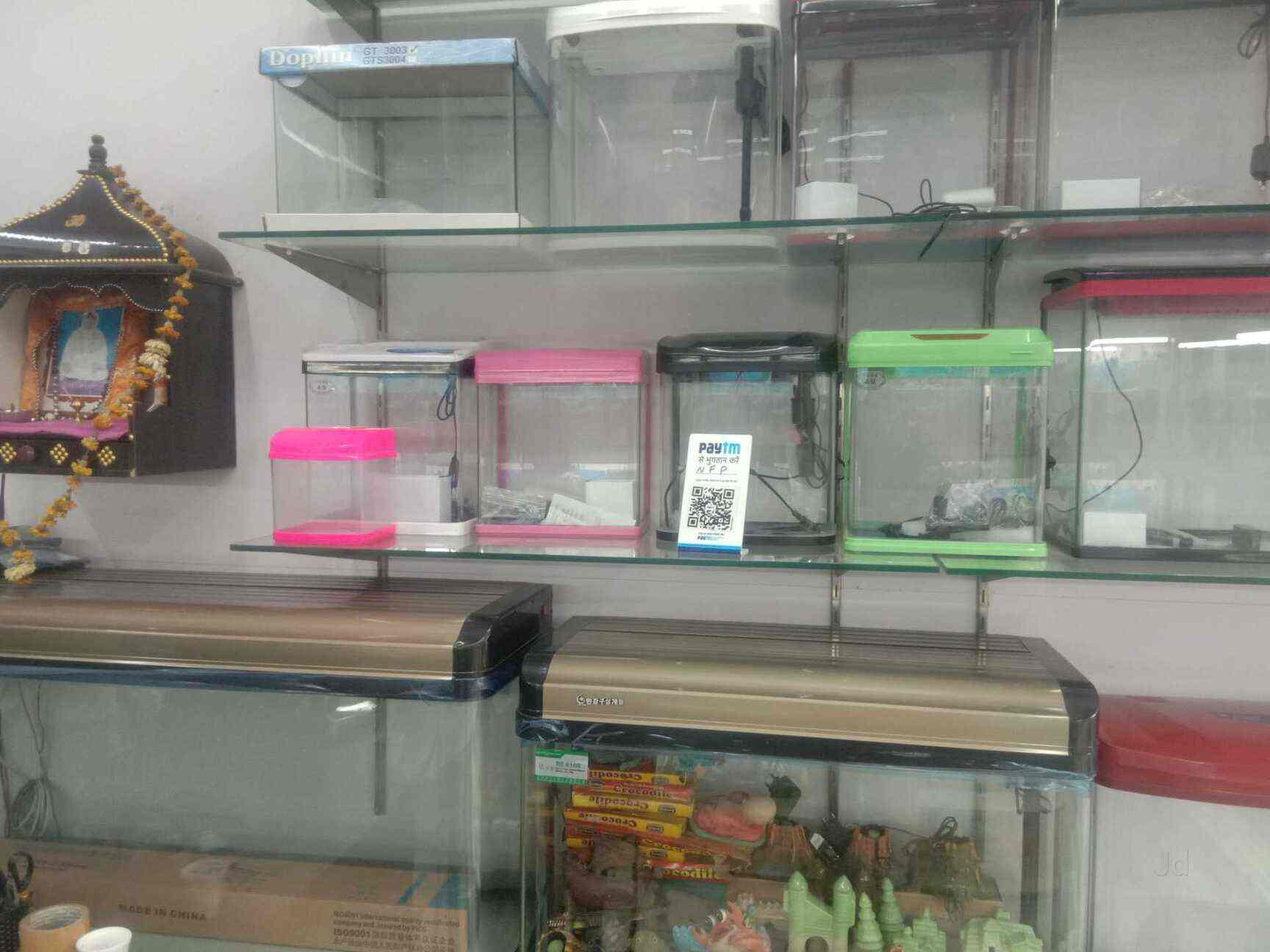 fish bowl shop near me