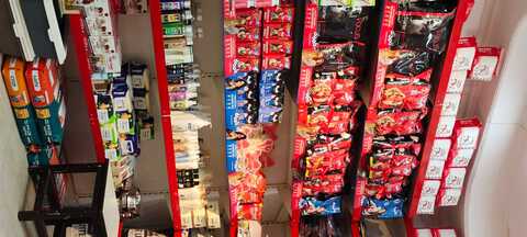 puppies world moti nagar