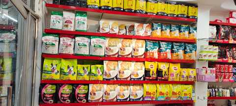 puppies world moti nagar