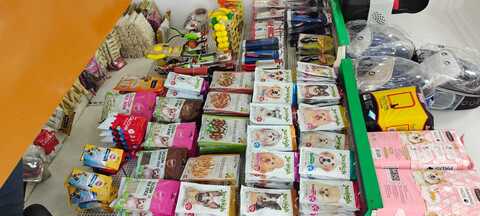 puppies world moti nagar