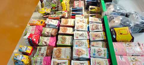 puppies world moti nagar