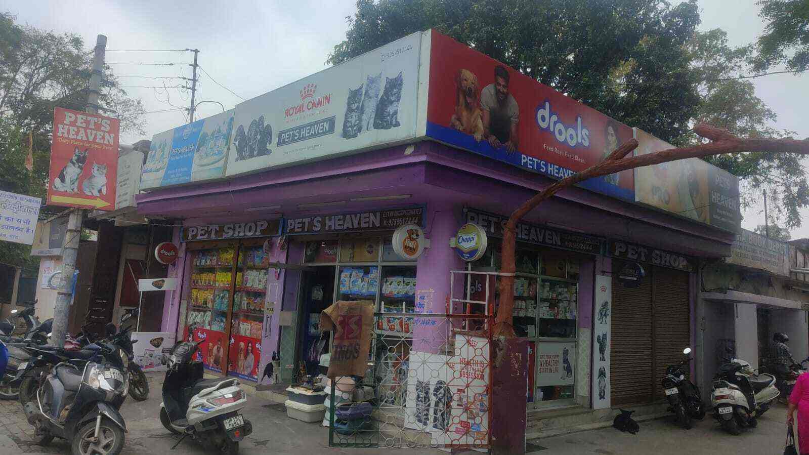 Top Goodies Dog Food Wholesalers in Delhi डॉग फ़ूड व्होलेसलेर्स