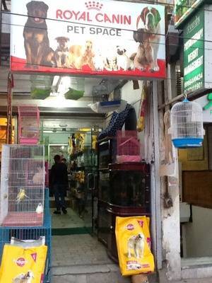 Pet Space in Derawal Nagar Delhi Best Dog Chain Dealers in Delhi