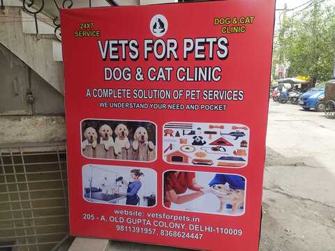 Vijay nagar hot sale dog clinic