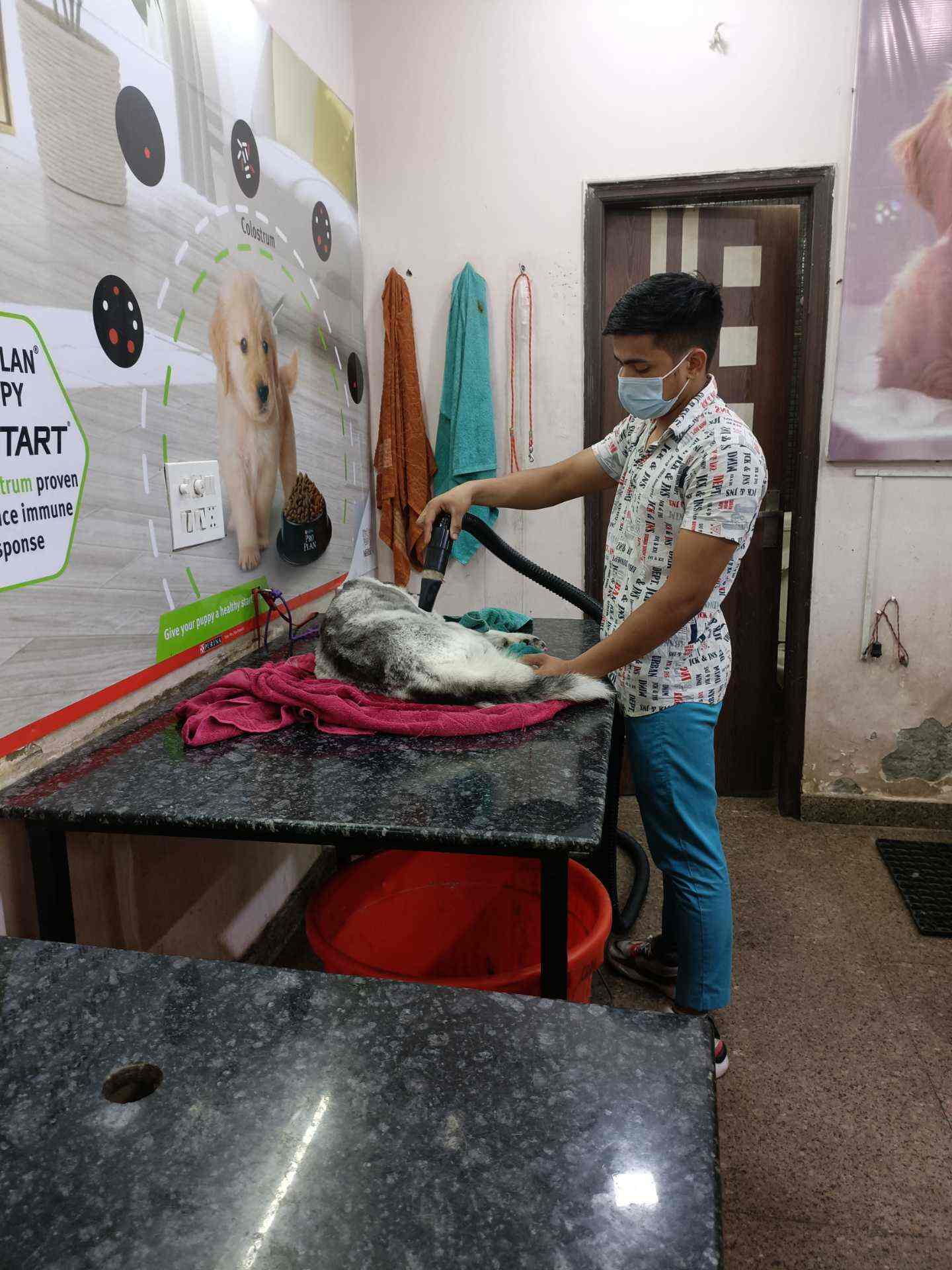 Top Pet Clinics in Chuna MandiPaharganj, Delhi Best Veterinary Clinic near me Justdial