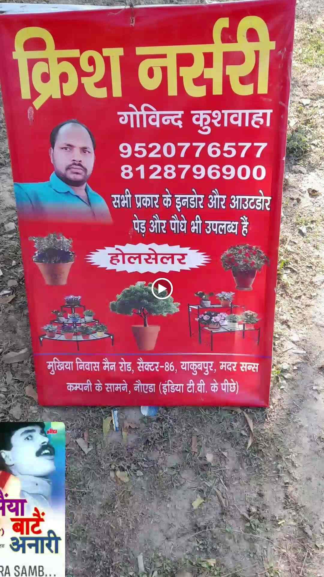 Catalogue Krish Nursery in Delhi Justdial