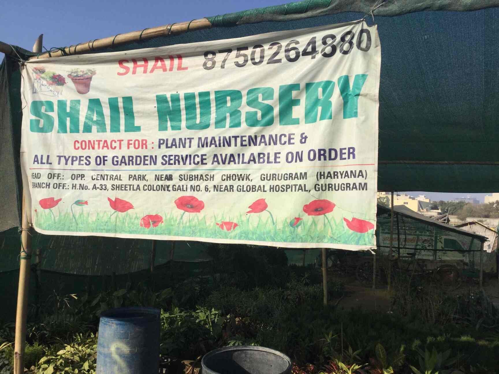 Sazia Nursery, Gurgaon Sector 48 Plant Nurseries in Gurgaon, Delhi