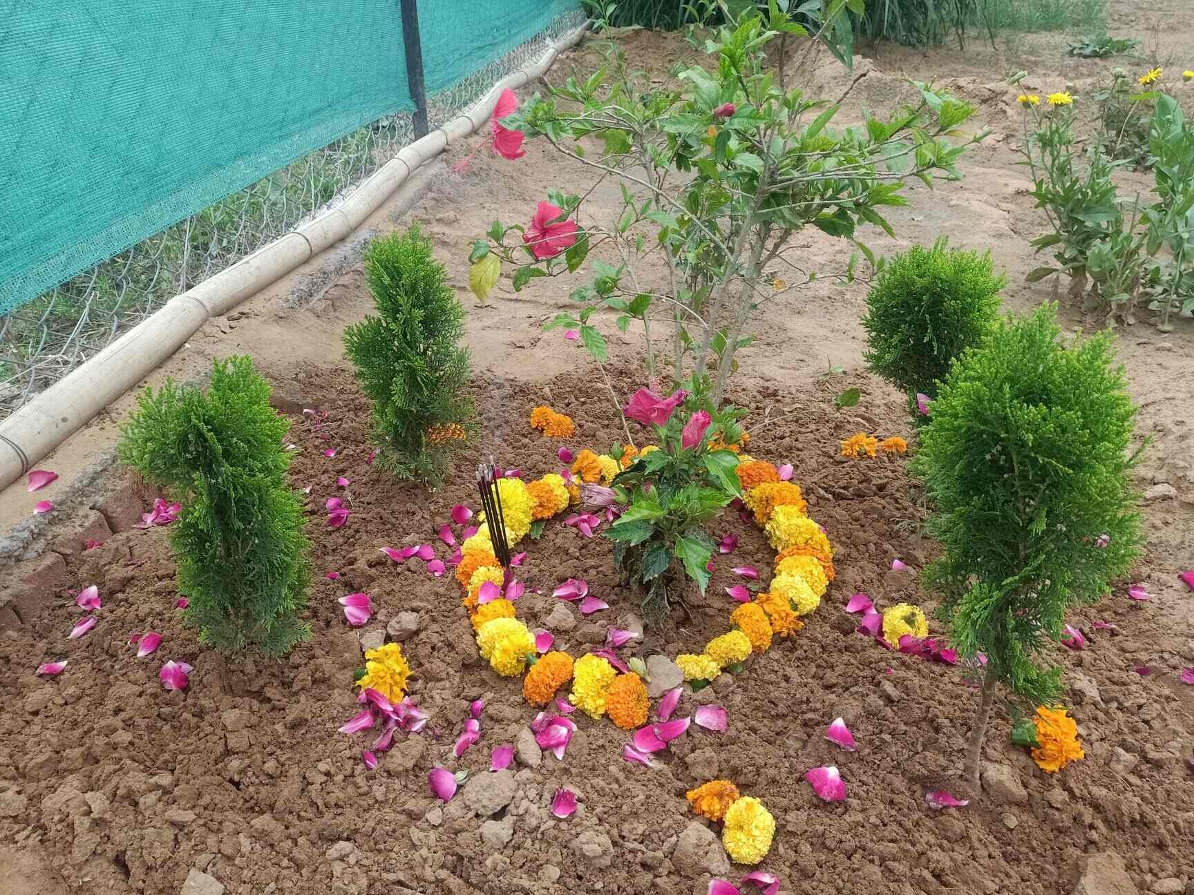 Top Pet Boarding Services in Gurgaon Sector 91, Delhi near me Justdial