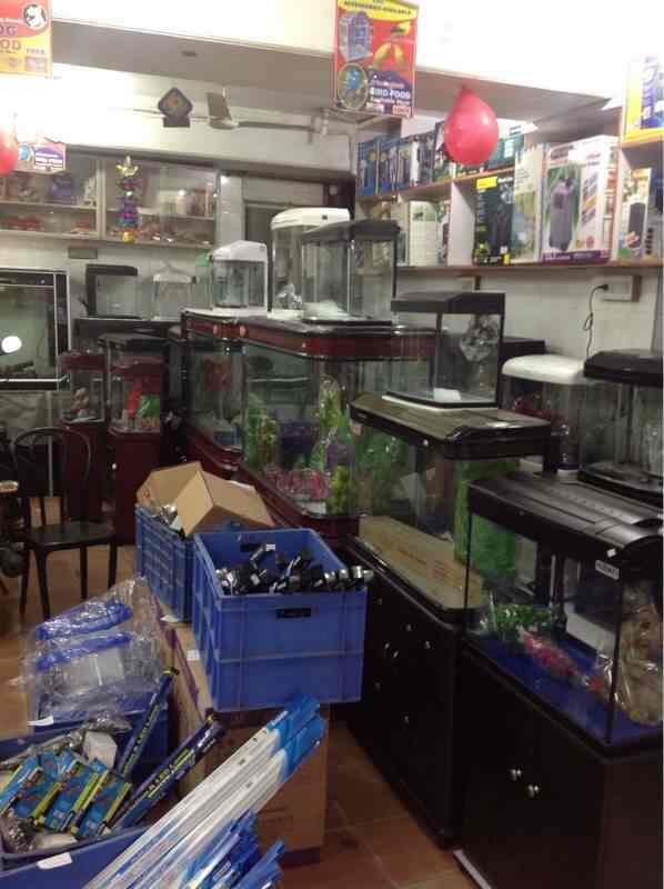 fish aquarium home laxmi nagar