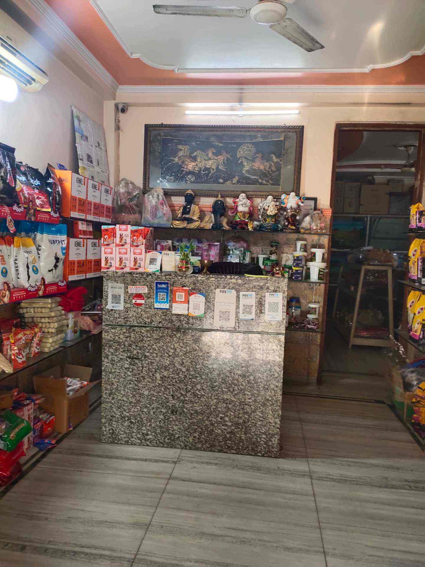 Golden Fish Aquarium Gift Shop Rohini Sector 15 Aquarium Fish Dealers In Delhi Justdial