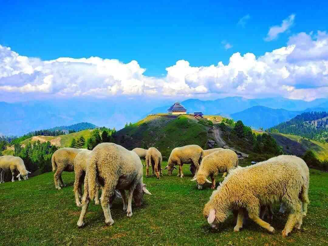 Namaskar Holidays Pvt Ltd, Sushant Lok Phase 1 Tour Packages in