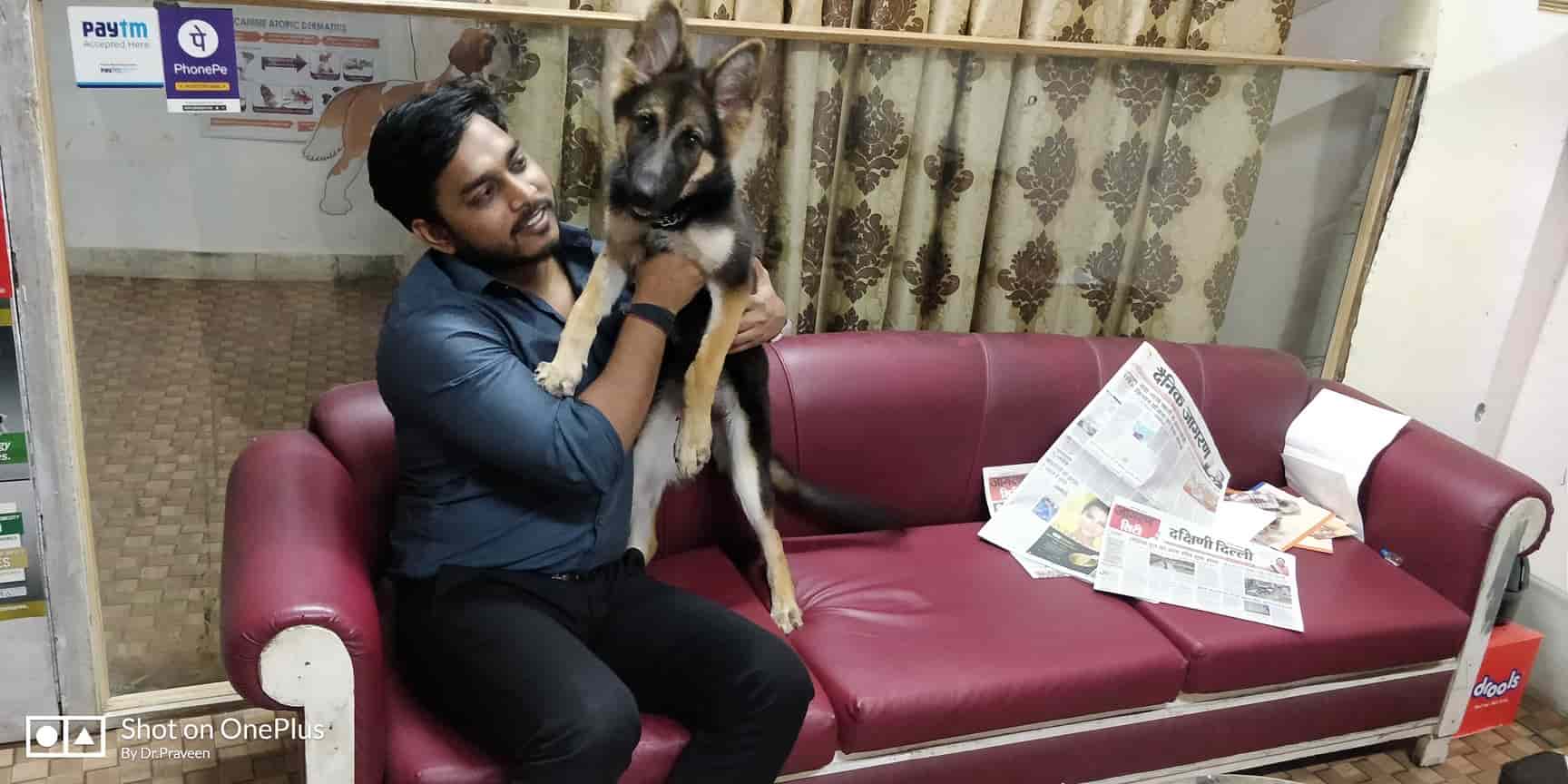 little paws pet clinic